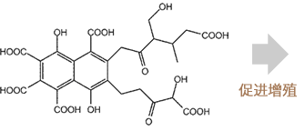 Canadian Fulvic Acid