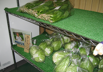 HNC之实例 利用发酵堆肥栽培蔬菜