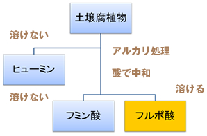 国際腐植物質学会法に基づく略図