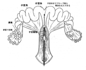 マガプラス