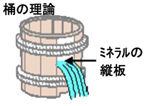 ホワイトアース